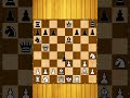 pawn hunt bishops hunt pawn #chess #chessgames #shorts