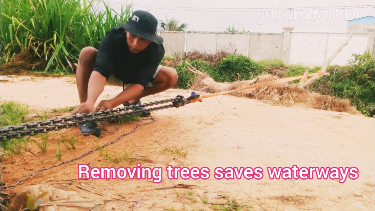 treeremoval Removing trees saves waterways.Help restore waterways to help society
