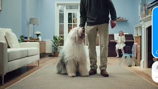 ID HD - Fragment bloku reklamowego (09.09.2019) screenshot 2