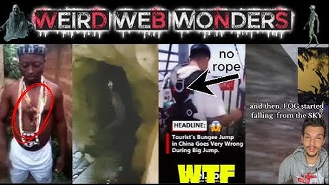 weird web wonders 42