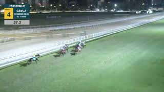 Vidéo de la course PMU PREMIO MOVIE STAR