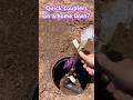 Connect A Water Hose To Your Irrigation System
