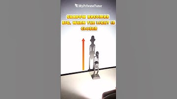 Amazing Shadow Experiment | Light & Shadow Science Trick for Kids