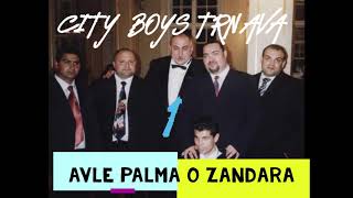 City Boys TRNAVA č.1 - Avle palma o žandara