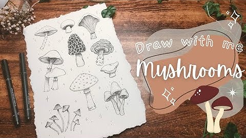 Draw with Me || 🍄 Let