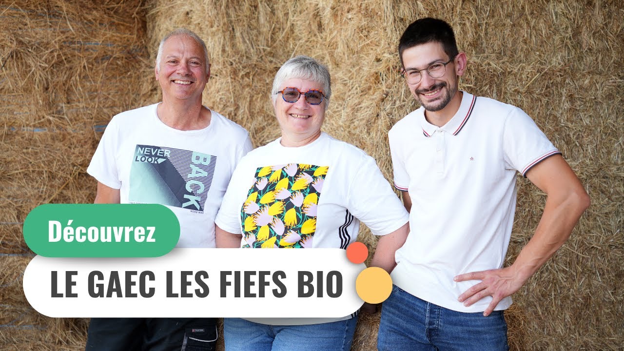 Bienvenue au GAEC Les Fiefs Bio à Sigournais en Vendée (85)