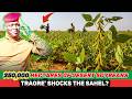 What REALLY Behind Burkina Faso’s 250,000ha Sahel Soy Harvest? Mechanized Revolution Test?Traoré Era