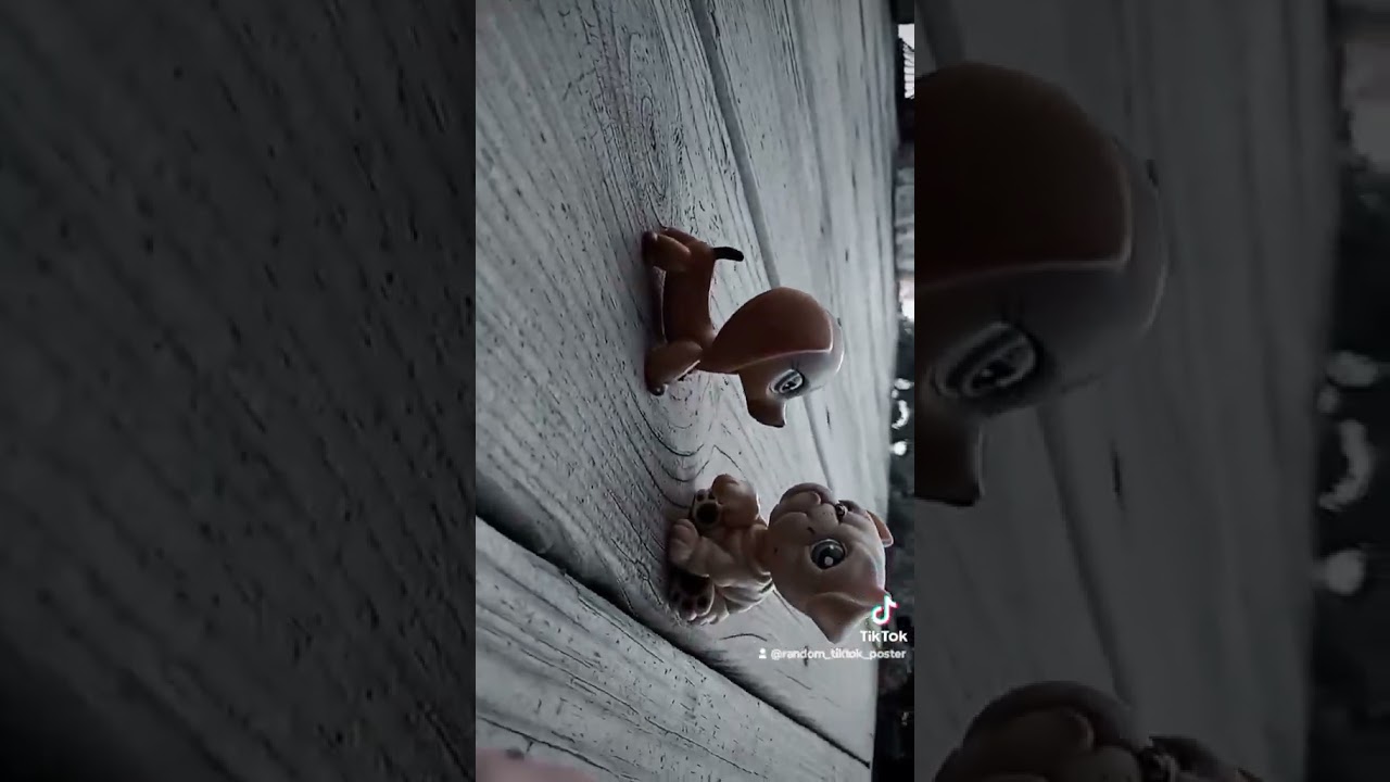 mascot madness featuring:🩷molly Polly💖,💜kit bunchy🤍,🩶Zane bunchy🖤