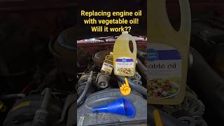 can you replace engine oil with vegetable oil?? #engine #mechanic #gm #vortec #s10life #funny #share