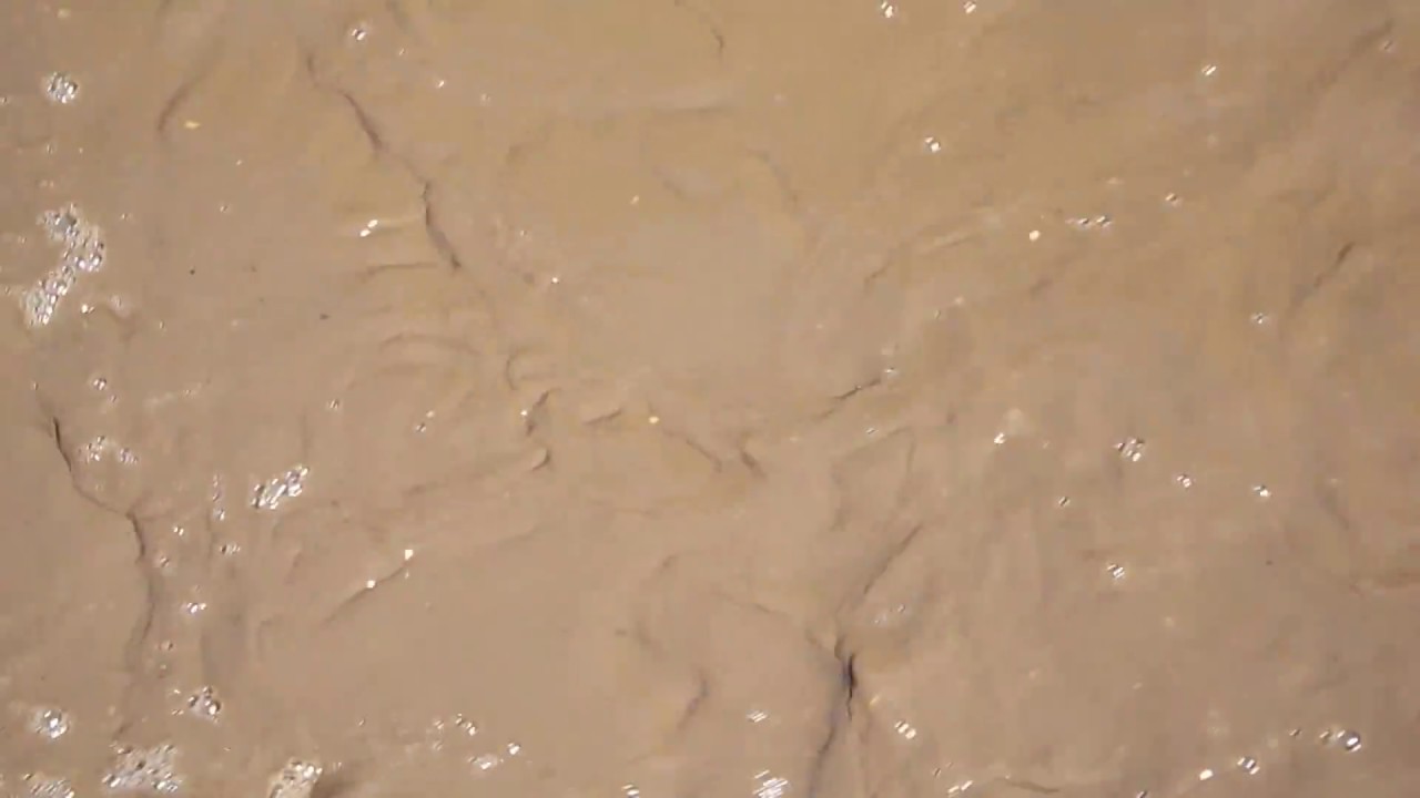 Aerobic Digestion - Understanding Sewage Treatment Process