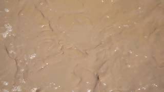 Aerobic Digestion - Understanding Sewage Treatment Process