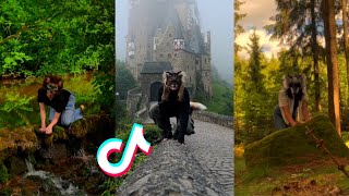 Therian And Quadrobics Tiktok Compilation Alterhumans Of Tiktok