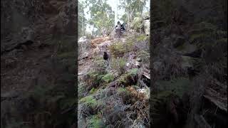 Ginger Ridge Fail Of The Year