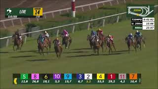 Vidéo de la course PMU PRIX INFINITE