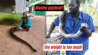 This African Village is Filled With Deadly Reptiles