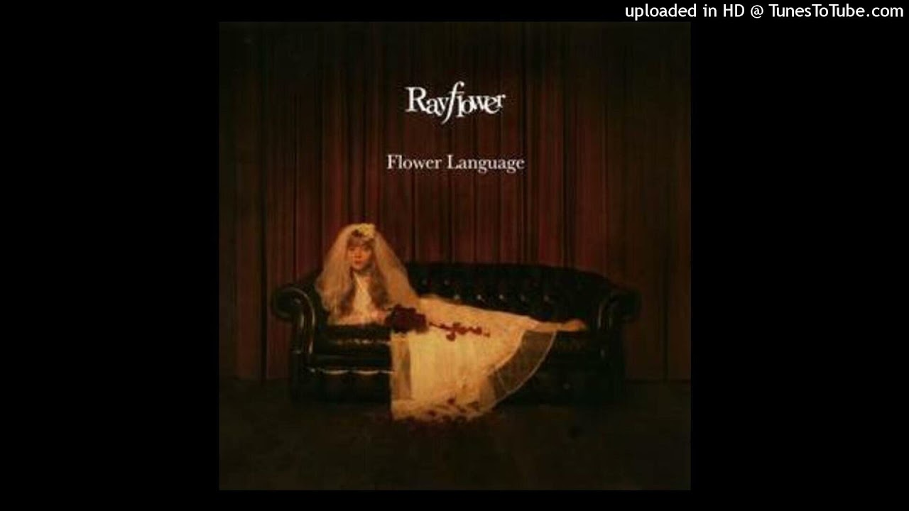 Rayflower - Social Network Generation