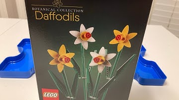 Building Lego Botanical Collection Daffodils set 40646