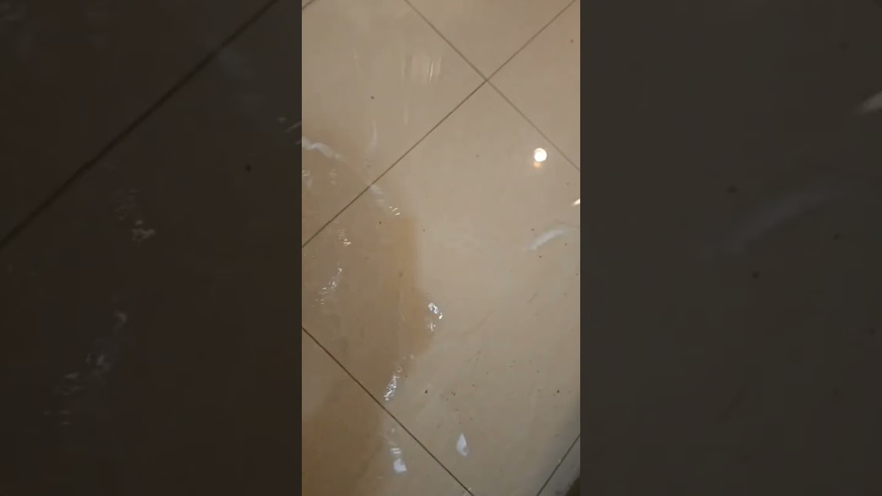 It came from the SEPTIC TANK 