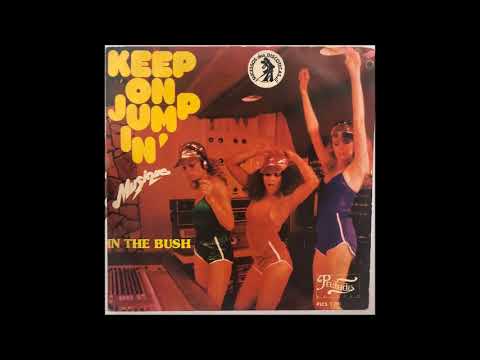 Musique  -  In The Bush