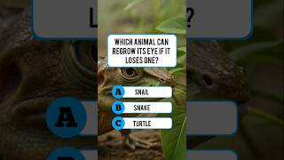 Which Animal? 🤔 #usaquiz #triviatricks #usafacts #trivia #mindbendingquiz #funquiz #facts #quiz #gk