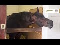 Tour Claiborne Farm