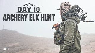 BIGGEST BULL IVE HUNTED | ARCHERY ELK HUNT P3 | 4K FILM