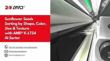 AMD® K-LTS4  Sunflower Seeds Sorting Machine by Shape, Color, Size & Texture