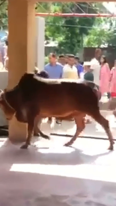 Eidun saeed #ytshort  #28 June  2023