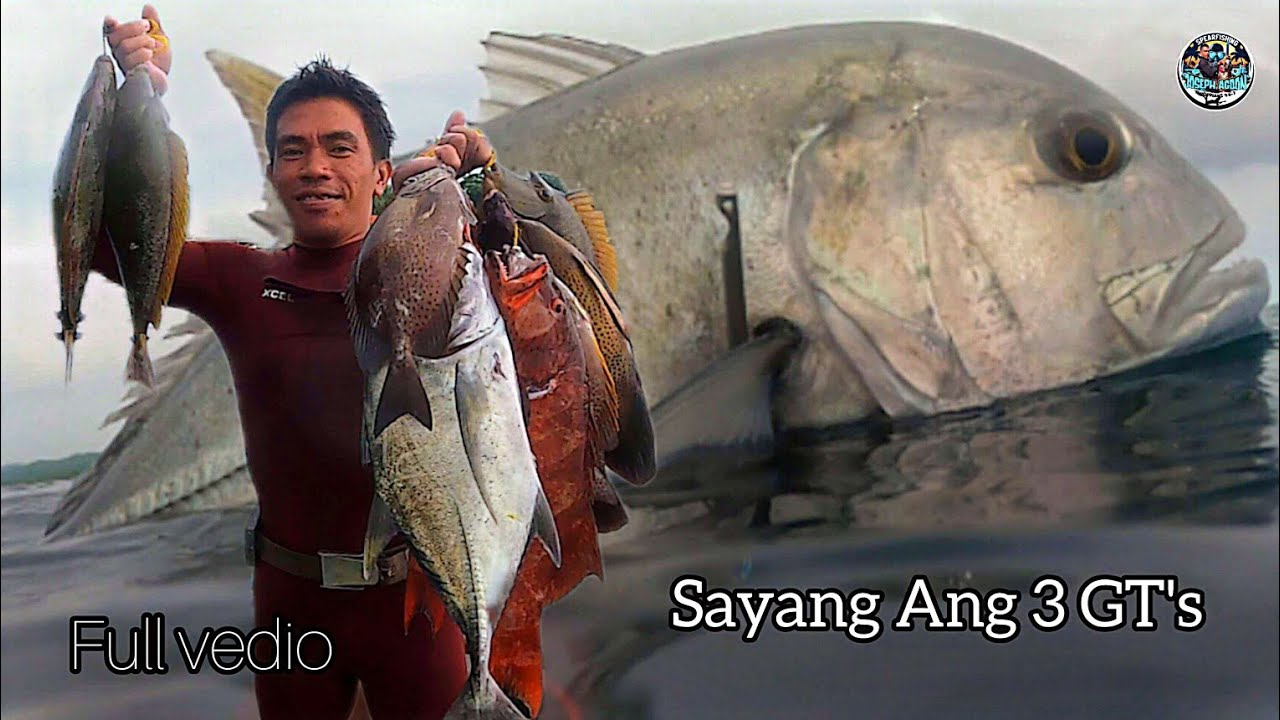 GT/assorted latobin natin. #spearfishingph 🇵🇭