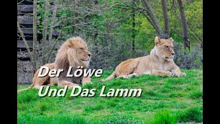 Der Löwe Und Das Lamm (Lion And The Lamb) - Karaoke Flöte Instrumental Leeland Mooring V1