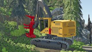 Why (DID) The Feller Buncher Make Trees Disappear???