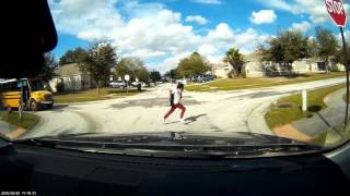 2016-0203   A Turtle; properly using the crosswalk...