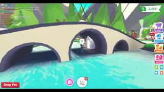 Adopt Me With Hanna, Allbina, Eager, Popstar, And Puffy Neon Robin