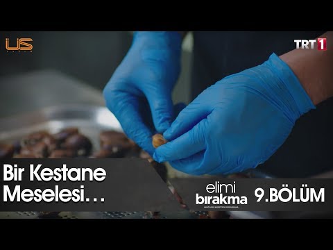 Bir kestane meselesi… - Elimi Bırakma 9. Bölüm