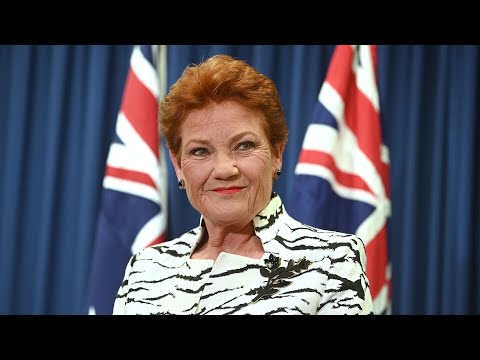 ‘Complete rejection of establishment’: One Nation is a political force ‘here to stay’