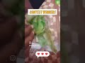 Contest winner received plants , plant nursery in chennai Gardenpro nursery