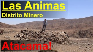 Las Animas: Historia de la minería en Atacama, Chile