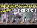 Masteran Ampuh Khusus Perkutut Dan Derkuku Saling Bersahutan Mp3 - Mp4 Download