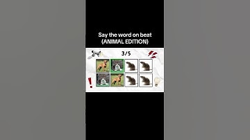 Say The Word On Beat Or You Fail. (ANIMAL EDITION)