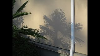 Palms create the nicest shadows screenshot 2