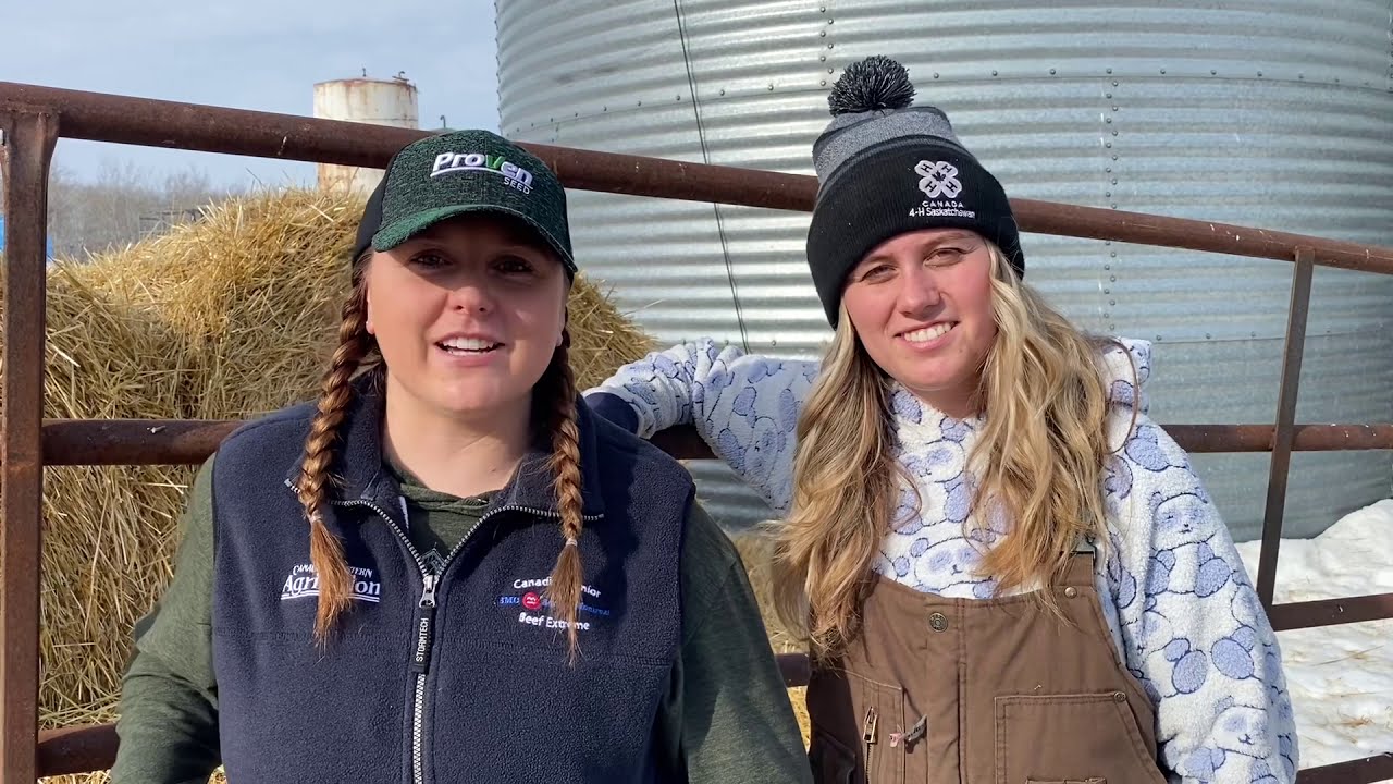 BEEF CATTLE FARM TOUR on Triple H Farm with and Miranda Heidecker YouTube