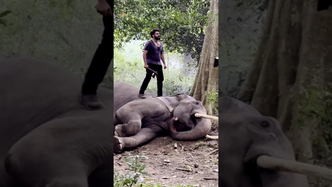 Kattalan Movie BTS💥