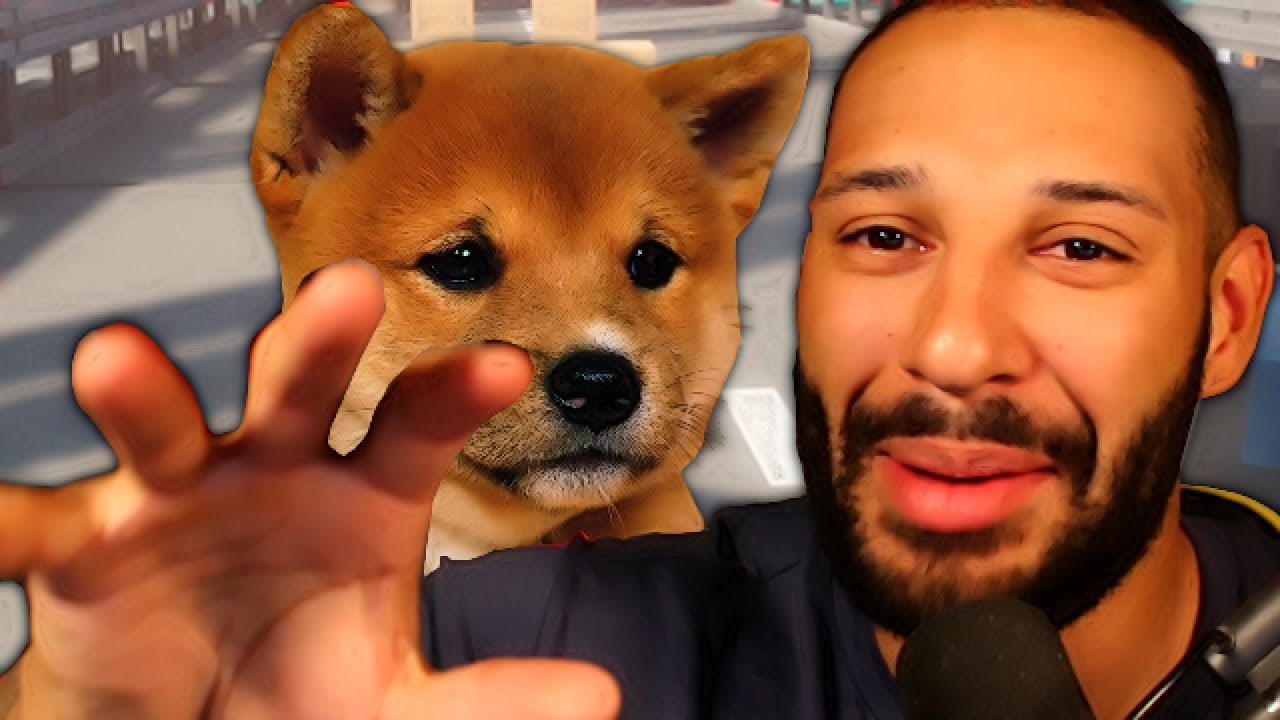 Wir haben eine HUNDE MOD?!