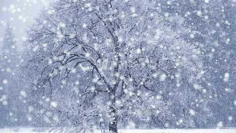 Winter Waltz by David Metzger