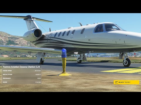 Microsoft Flight Simulator
