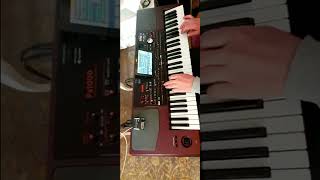 Elektro Bağlama Korg Pa1000