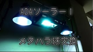 90cm水槽の底床掃除とメタハラ球交換