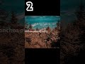 What Photo Is Best Ep34 Photography Photooftheday 