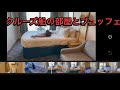 クルーズ船の部屋とブュッフェ