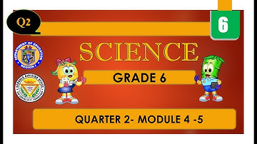 CCN Live Broadcast | Science 6 | Quarter 2, Week 5